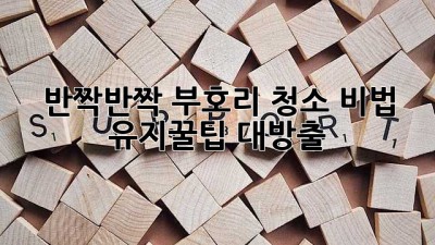 ✨ 반짝반짝 부호리 청소 비법! 유지꿀팁 대방출 🏡