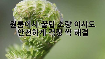 원룸이사 꿀팁🍯: 소량 이사도 안전하게! 걱정 싹~ 해결 😉